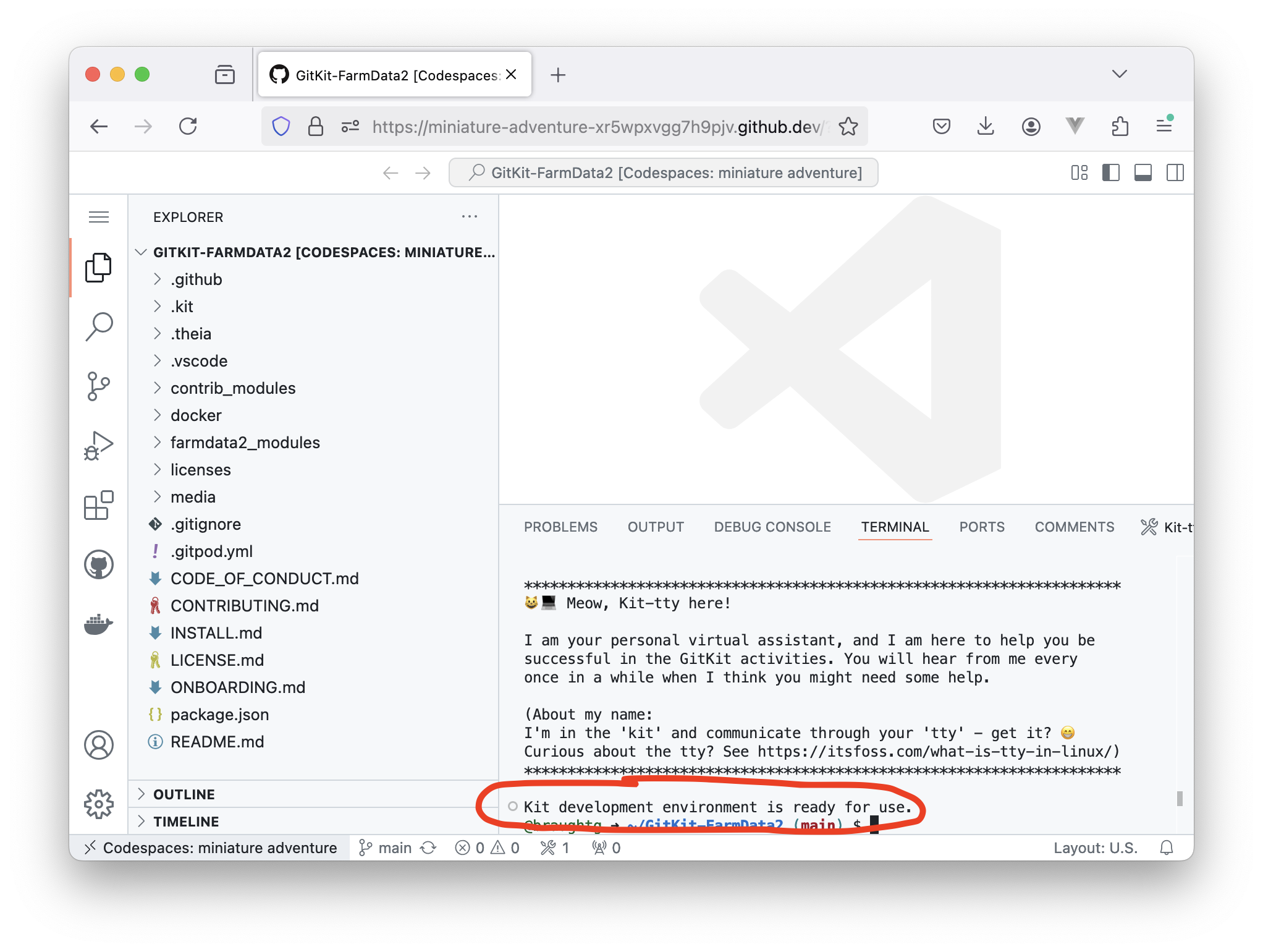 The GitKit Development Environment.  The development environment is ready when you see the "Kit development environment is ready for use" message.