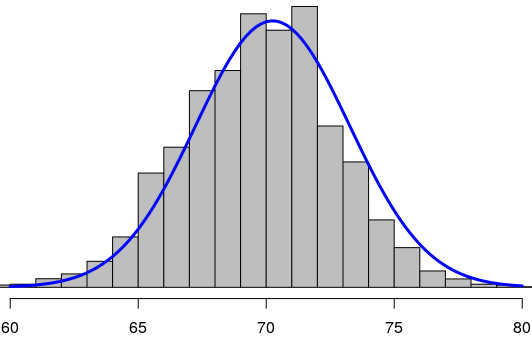 male height