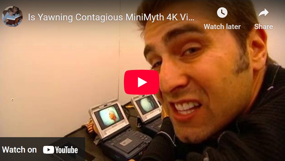 Click to watch MythBusters yawning video