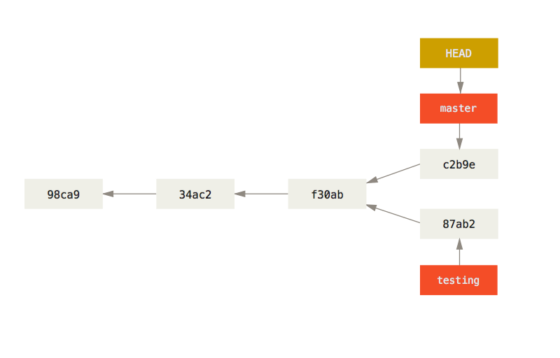 Image showing divergent history, with MASTER and TESTING branch diverging from a common previous commit.