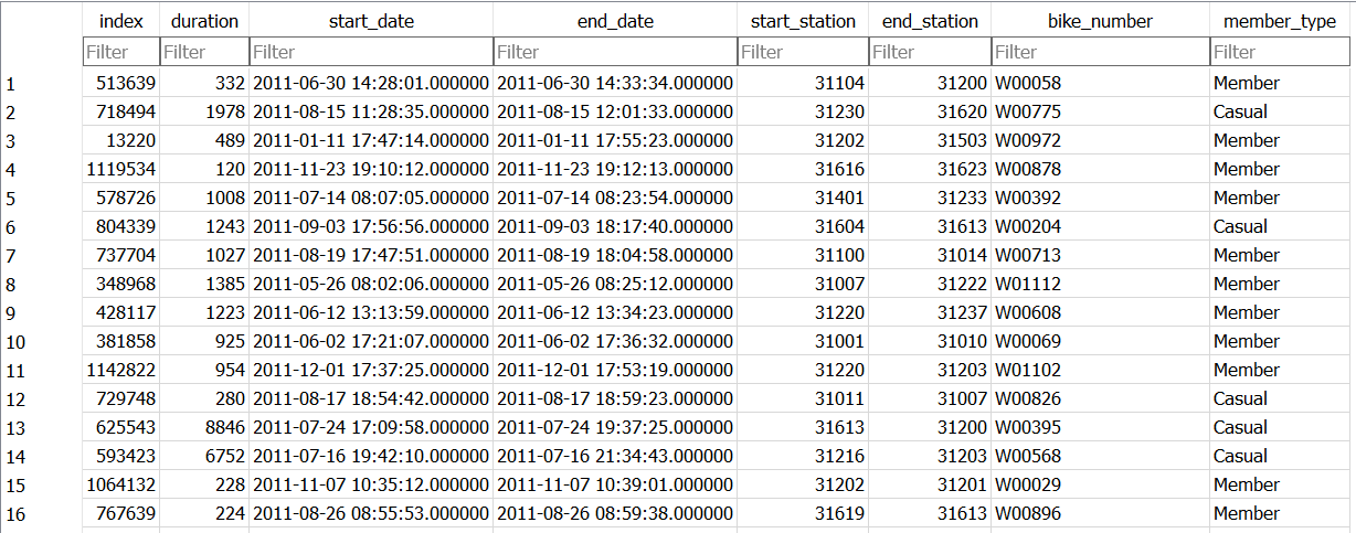 The trip_data table from the bike dataset.